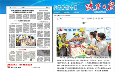 J9九游西北集团珑樾府项目高温慰问——《陕西日报》